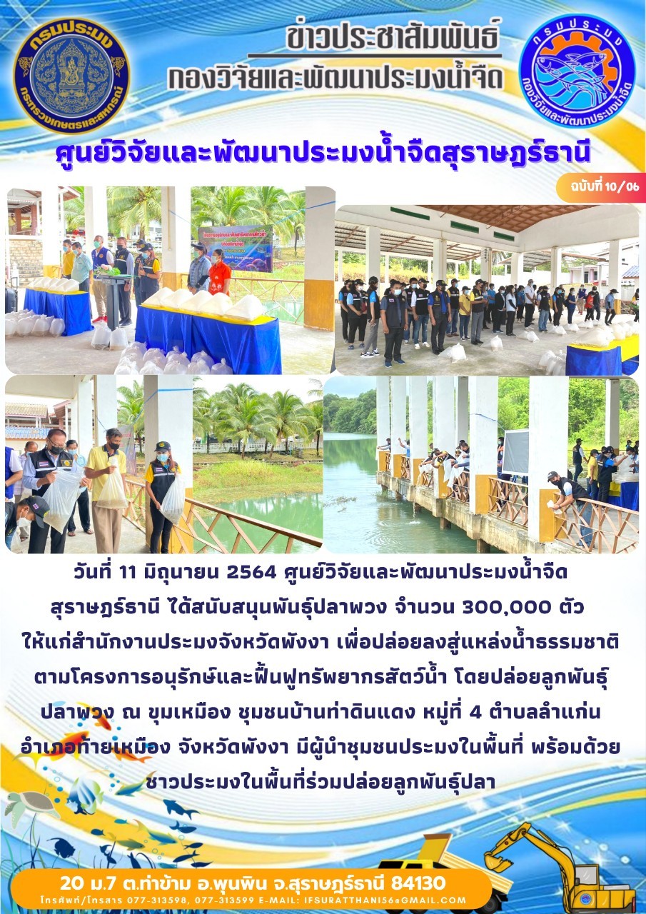 สนับสนุนพันธุ์ปลาพวง จำนวน 300,000 ตัว  ให้แก่สำนักงานประมงจังหวัดพังงา