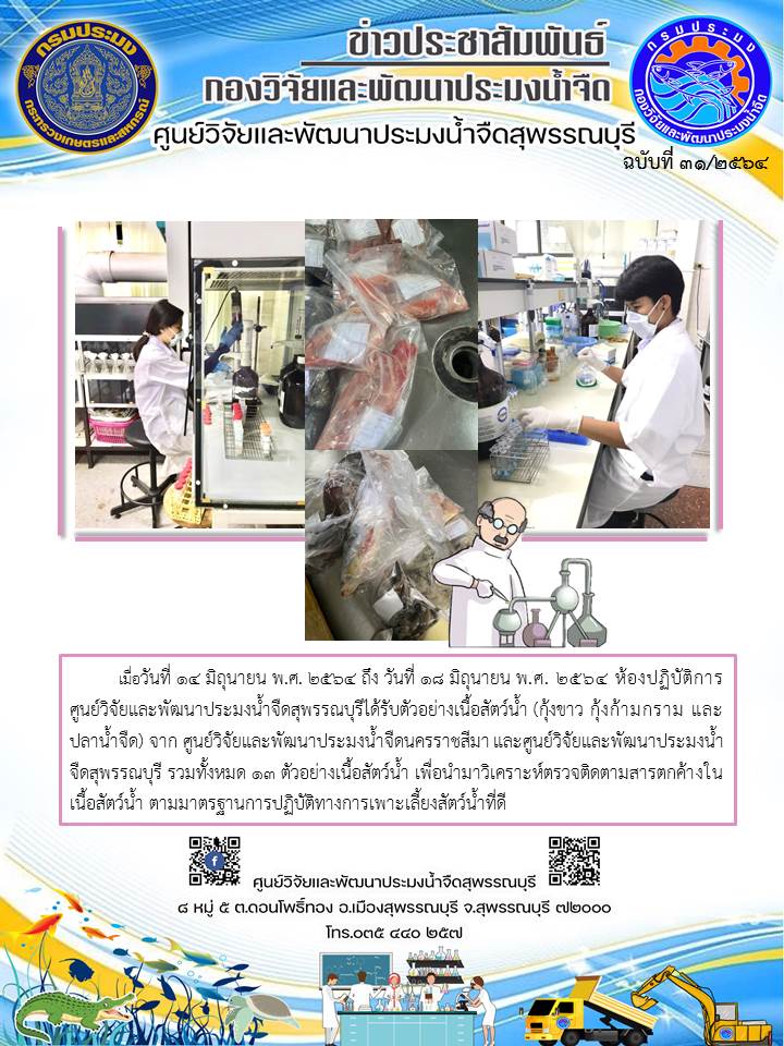 ข่าวประชาสัมพันธ์ฉบับที่31ประจำเดือนมิถุนายน 2564..คลิก