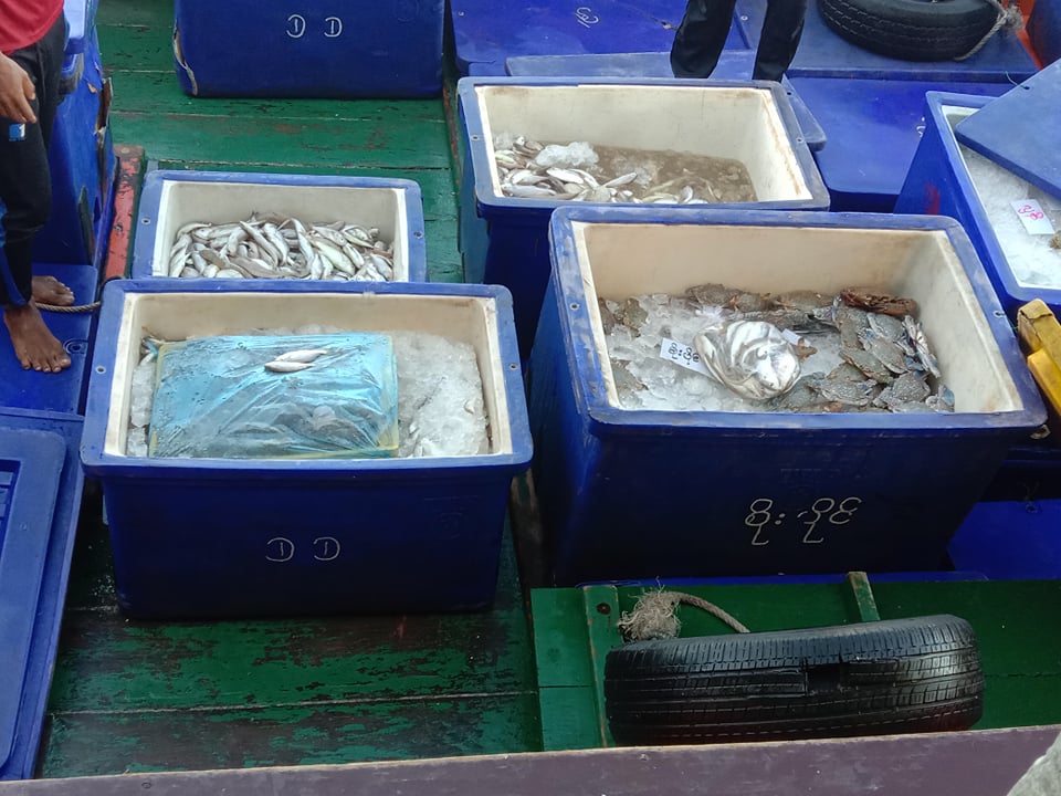 รายงานผลการตรวจเรือขนถ่ายสัตว์น้ำจากประเทศเมียนมาร์..คลิก