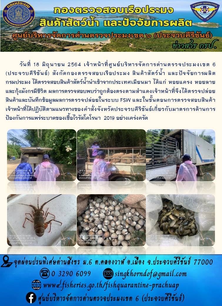 สินค้าสัตว์น้ำนำเข้าจากประเทศเมียนมา..คลิก