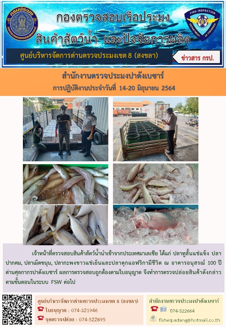 ประชาสัมพันธ์การปฏิบัติงาน ประจำวันที่ 14-20 มิถุนายน 2564 สำนักงานตรวจประมงปาดังเบซาร์..คลิก