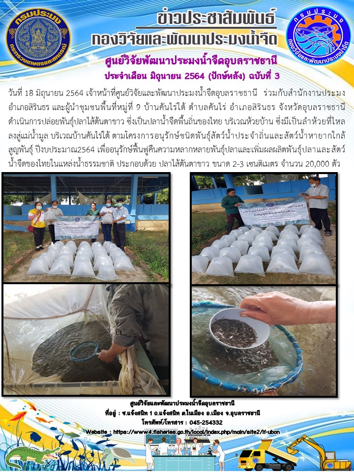 ข่าวประชาสัมพันธ์ ประจำเดือน มิถุนายน 2564 (ปักษ์หลัง) ฉบับที่ 3..คลิก