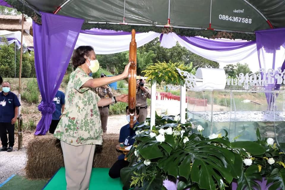 กรมประมงร่วมรับเสด็จ สมเด็จพระกนิษฐาธิราชเจ้า กรมสมเด็จพระเทพรัตนราชสุดาฯ สยามบรมราชกุมารี เสด็จพระราชดำเนินทอดพระเนตรการดำเนินงานโครงการทหารพันธุ์ดีน่าน ณ กรมทหารพรานที่ 32 อำเภอภูเพียง จังหวัดน่าน..คลิก