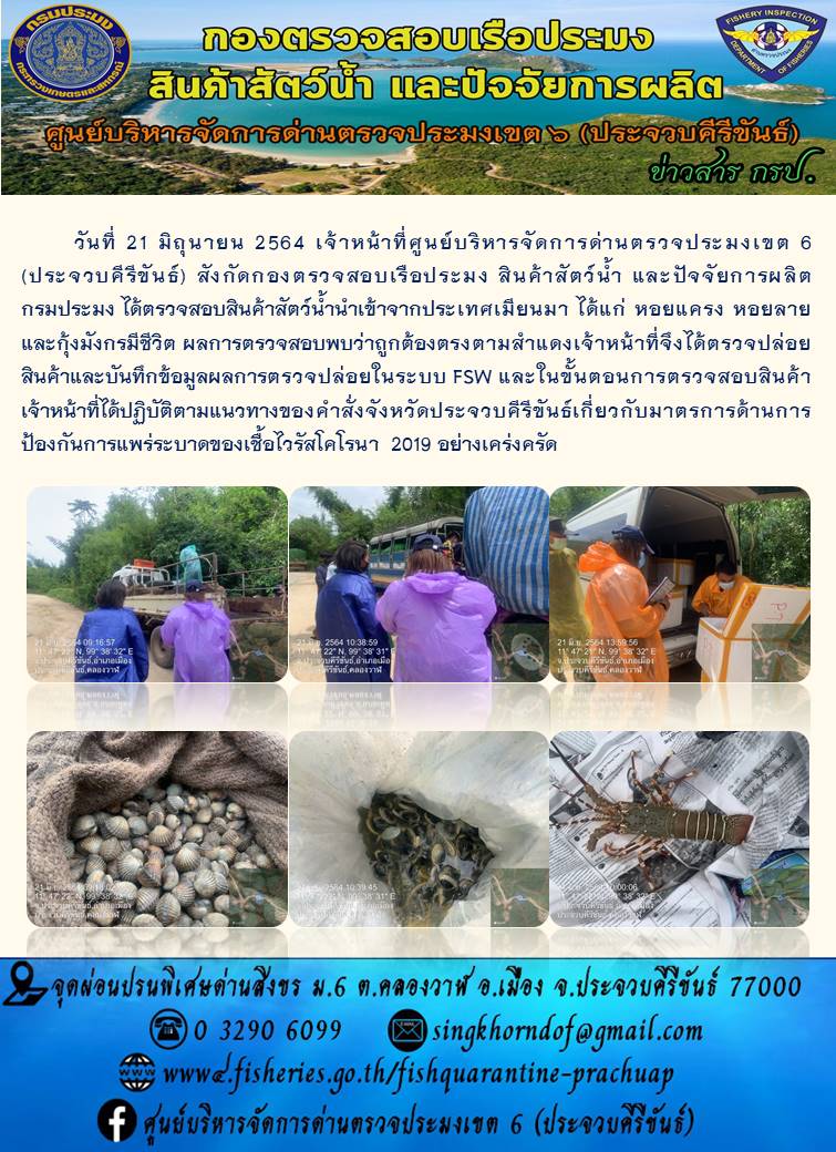 สินค้าสัตว์น้ำนำเข้าจากประเทศเมียนมา..คลิก