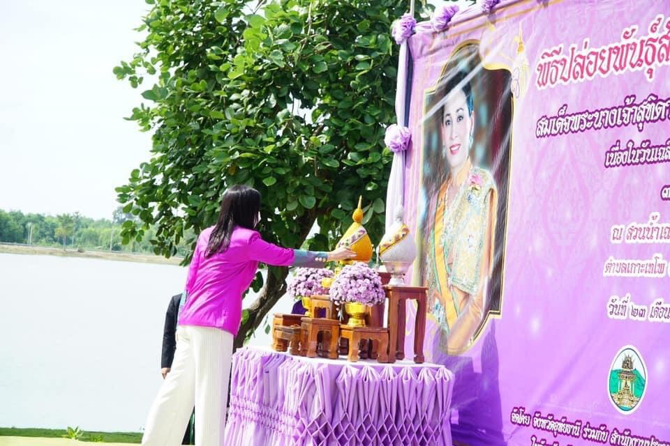 23 มิถุนายน 2564 เวลา 09:00 น.ศูนย์วิจัยและพัฒนาการเพาะเลี้ยงสัตว์น้ำจืดอุทัยธานี ร่วมกับสำนักงานประมงจังหวัดอุทัยธานี จัดงานปล่อยพันธุ์สัตว์น้ำถวายเป็นพระราชกุศล เนื่องในวันเฉลิมพระชนมพรรษาสมเด็จพระนางเจ้าสุทิดา พระบรมราชินี   โดยมีนางสาวมนัญญาไทยเศรษฐ์ รัฐมนตรีช่วยว่าการกระทรวงเกษตรและสหกรณ์เดินทางมาเป็นประธานในพิธีปล่อยพันธุ์สัตว์น้ำ เพื่อเทิดพระเกียรติและถวายเป็นพระราชกุศล เนื่องในวันเฉลิมพระชนมพรรษาสมเด็จพระนางเจ้าสุทิดา พัชรสุธาพิมลลักษณ พระบรมราชินี