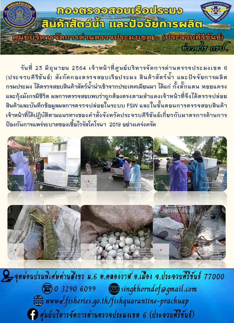 สินค้าสัตว์น้ำนำเข้าจากประเทศเมียนมา..คลิก
