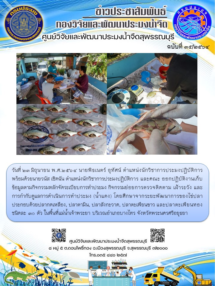 ข่าวประชาสัมพันธ์ฉบับที่35ประจำเดือนมิถุนายน 2564..คลิก