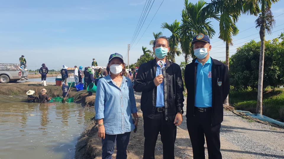 สำนักงานประมงจังหวัดสมุทรปราการ?ลงพื้นที่สังเกตการณ์ สถานการณ์รับซื้อปลากะพงขาวในพื้นที่หมู่ 3 ตำบลคลองนิยมยาตรา หลังจากได้รับร้องเรียนจาก เกษตรกรราคาปลากระพงขาวตกต่ำสุดในรอบหลายปี..คลิก