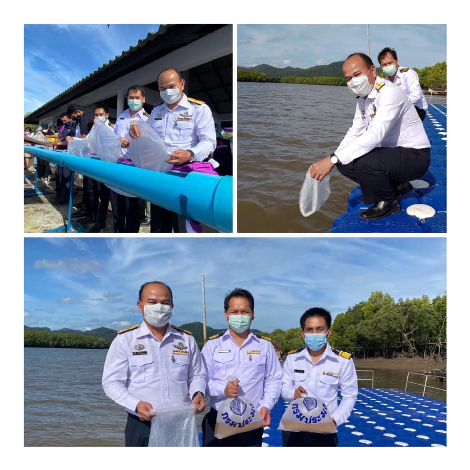 วันที่ 23 มิถุนายน 2564 : นายธีระพงษ์ อภัยภักดี ผู้อำนวยการศูนย์บริหารจัดการด่านตรวจประมงเขต 9 (สตูล) พร้อมข้าราชการในสังกัด ร่วมพิธีปล่อยพันธุ์สัตว์น้ำเฉลิมพระเกียรติ สมเด็จพระนางเจ้าฯ พระบรมราชินี เนื่องในโอกาสวันเฉลิมพระชนมพรรษา 43..คลิก