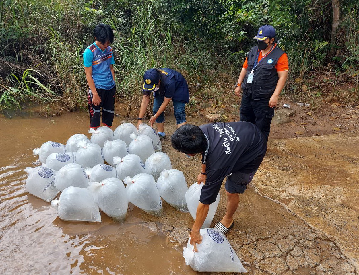 ปล่อยปลา ฟื้นฟูแหล่งอาหารและความหลากหลายของทรัพยากรประมง โครงการหลวงห้วยน้ำขาว
