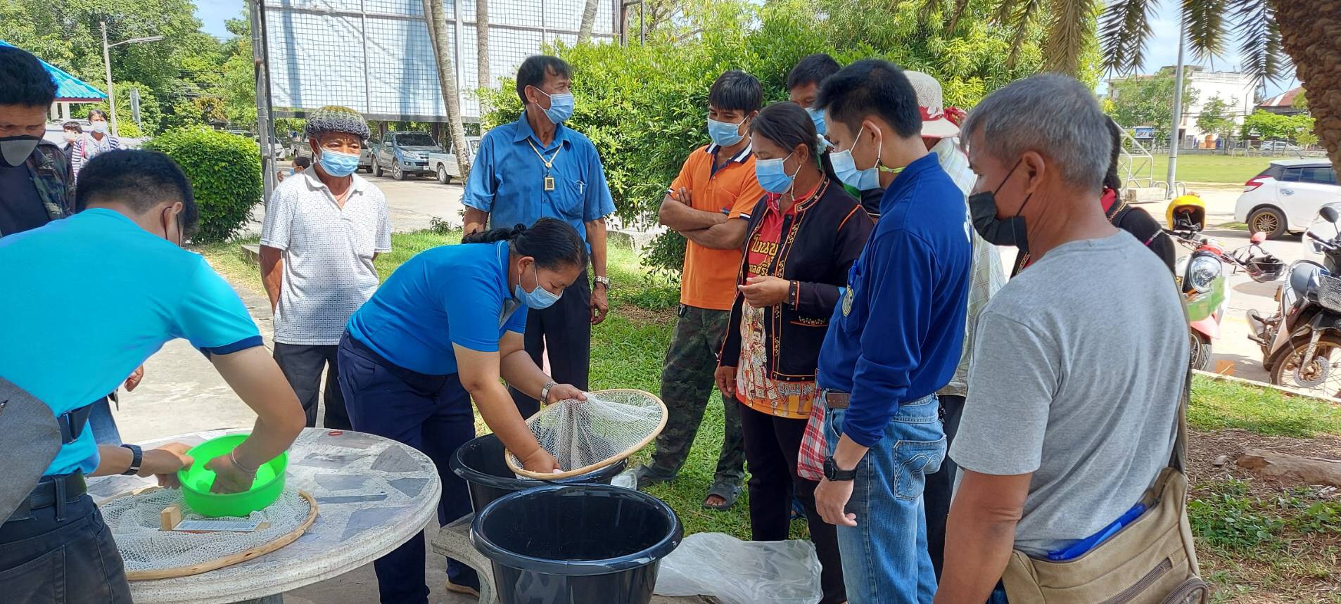 สำนักงานประมงจังหวัดศรีสะเกษ มอบ พันธุ์ปลาตะเพียน แก่เกษตรกรโครงการส่งเสริมเกษตรอินทรีย์ อำเภอขุขันธ์..คลิก