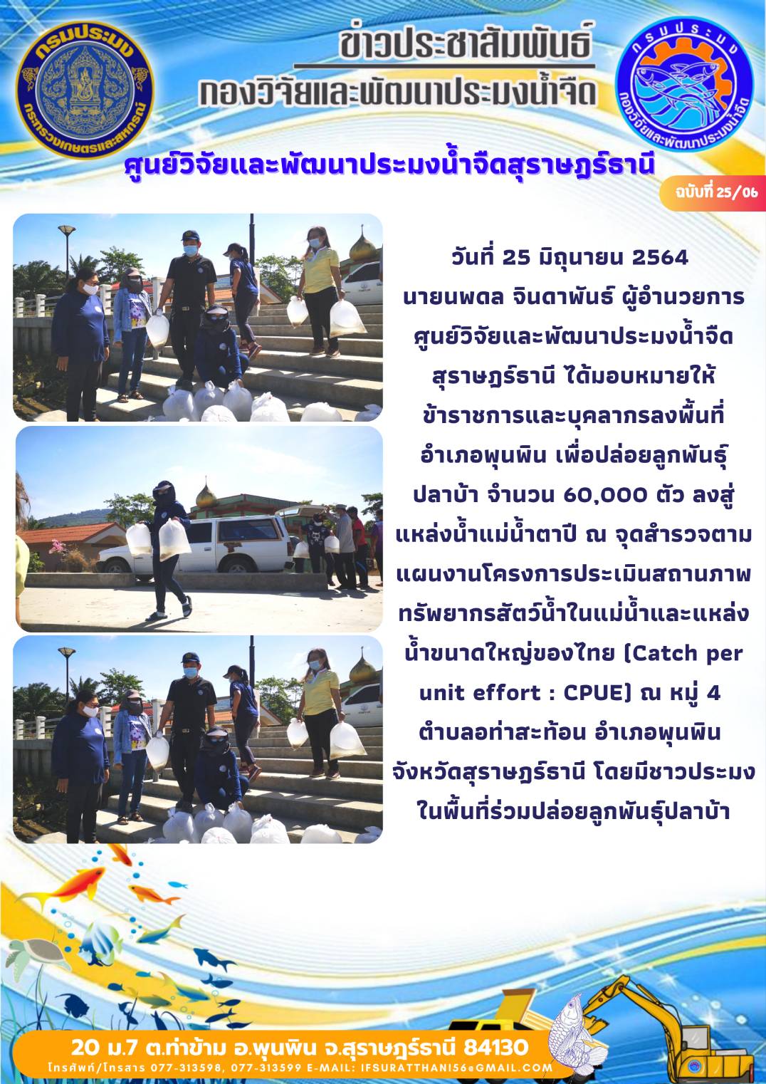 วันที่ 25 มิถุนายน 2564 ปล่อยลูกพันธุ์ ปลาบ้า จำนวน 60,000 ตัว ลงสู่แหล่งน้ำแม่น้ำตาปี ณ จุดสำรวจตามแผนงานโครงการประเมินสถานภาพทรัพยากรสัตว์น้ำในแม่น้ำและแหล่งน้ำขนาดใหญ่ของไทย (Catch per unit effort : CPUE) ณ หมู่ 4  ตำบลอท่าสะท้อน อำเภอพุนพิน  จังหวัดสุราษฎร์ธานี
