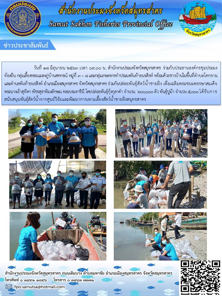 สำนักงานประมงจังหวัดสมุทรสาคร ร่วมกับประธานองค์กรชุมประมงท้องถิ่น กลุ่มเลี้ยงหอยแมลงภู่บ้านสหกรณ์ หมู่ที่ 3-8 และกลุ่มเกษตรกรทำประมงพันท้ายนรสิงห์ พร้อมด้วยชาวบ้านในพื้นที่ตำบลโคกขามและตำบลพันท้ายนรสิงห์ ร่วมกันปล่อยพันธุ์สัตว์น้ำชายฝั่ง เพื่อเฉลิมพระชนมพรรษาสมเด็จพระนางเจ้าสุทิดา พัชรสุธาพิมลลักษณ์ พระบรมราชินี..คลิก
