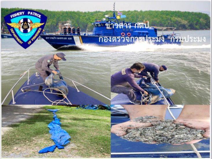 เรือตรวจประมงทะเล 323 ตรวจยึดเครื่องมืออวนลากลูกหอย(สามเหลี่ยม) จำนวน 6 อัน