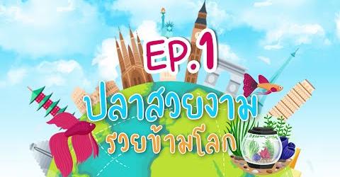 ปลาสวยงาม รวยข้ามโลก Ep.1 นโยบายเกี่ยวกับสัตว์น้ำสวยงามและพรรณไม้น้ำ ของกรมประมง