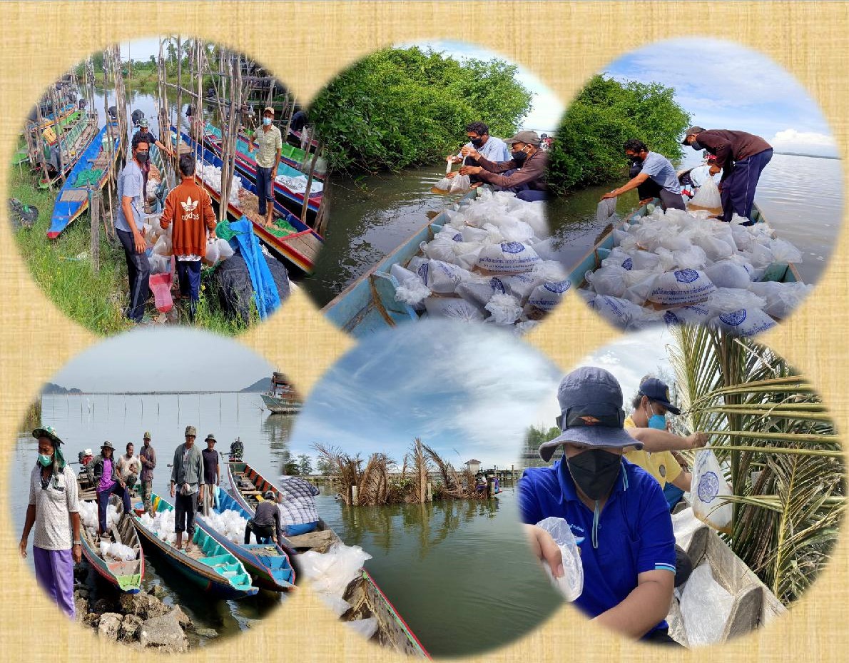ศูนย์วิจัยและพัฒนาการเพาะเลี้ยงสัตว์น้ำชายฝั่งสงขลาร่วมกับสำนักงานประมงจังหวัดสงขลา พร้อมด้วยราษฎร ต.ท่าหิน อ.สทิงพระ และชุมชนบ้านโคกไร่ ต.พะวง อ.เมือง จ.สงขลา ได้ร่วมปล่อยพันธุ์กุ้งกุลาดำ..คลิก