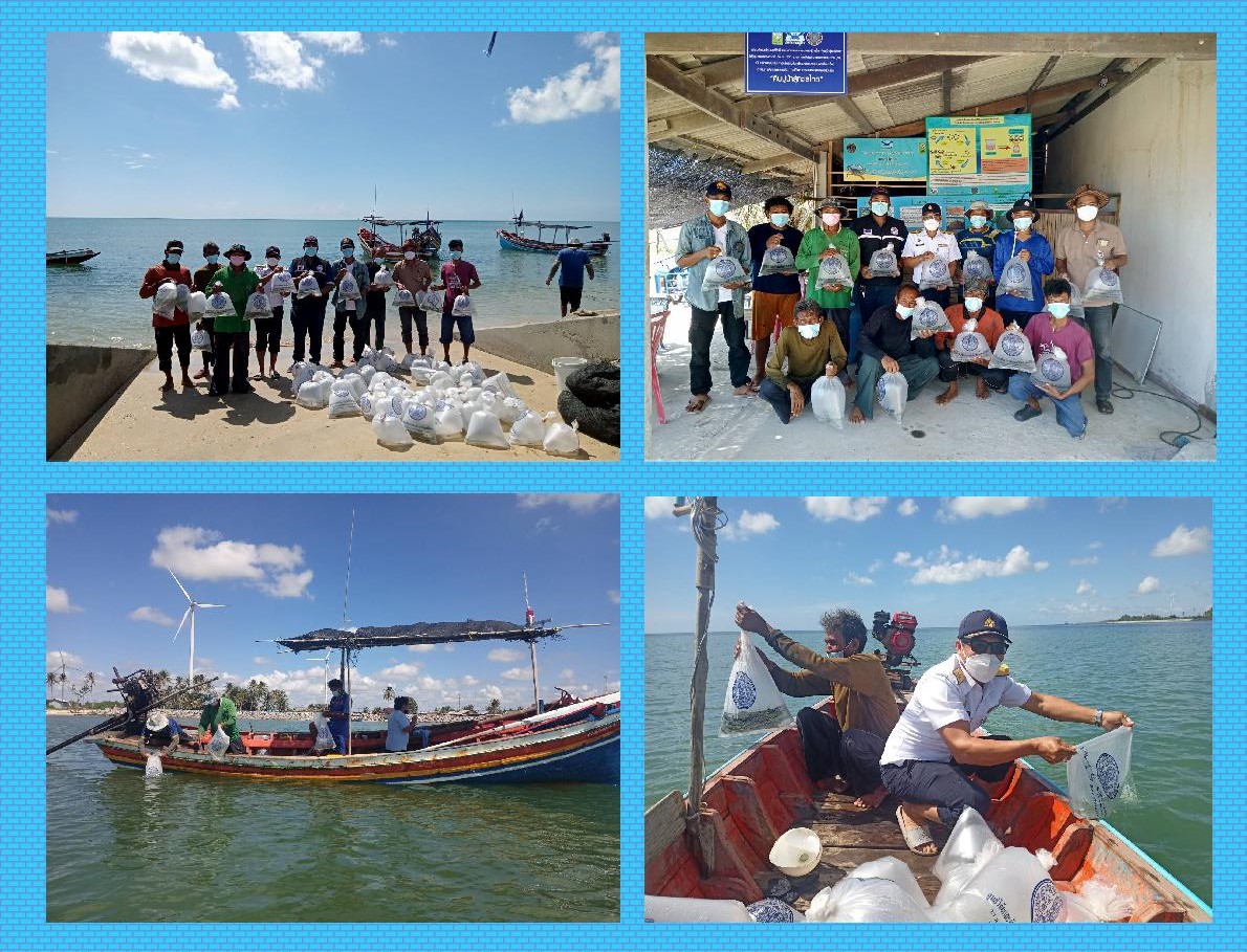 ศูนย์วิจัยและพัฒนาการเพาะเลี้ยงสัตว์น้ำชายฝั่งสงขลา ร่วมกับสำนักงานประมงจังหวัดสงขลา โดยสำนักงานประมงอำเภอระโนด ผู้ใหญ่บ้านหมู่ที่ 1 ตำบลคลองแดน พร้อมด้วยชาวประมงพื้นบ้าน และสมาชิกกลุ่มธนาคารปูม้าชุมชนบ้านท่าเข็น ปล่อยพันธุ์ปูม้าขนาด..คลิก