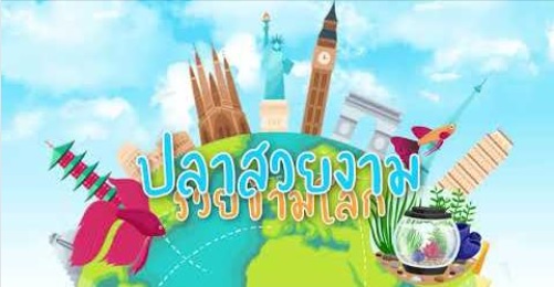 ปลาสวยงามรวยข้ามโลก Ep.1 นโยบายเกี่ยวกับสัตว์น้ำสวยงามและพรรณไม้น้ำ ของกรมประมง..คลิก