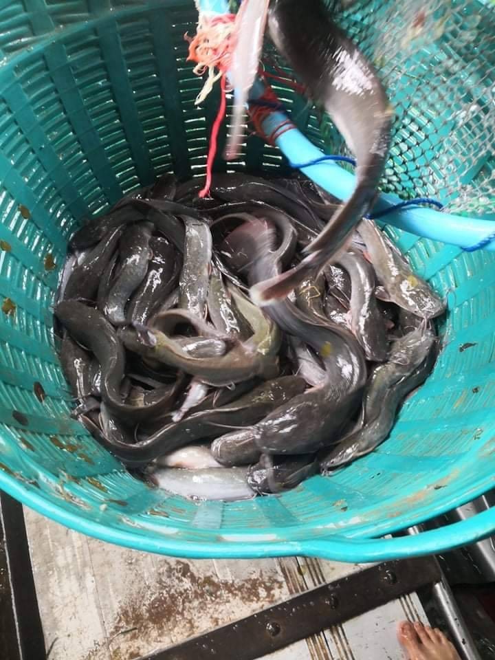 ตรวจสอบสินค้าส่งออก..คลิก