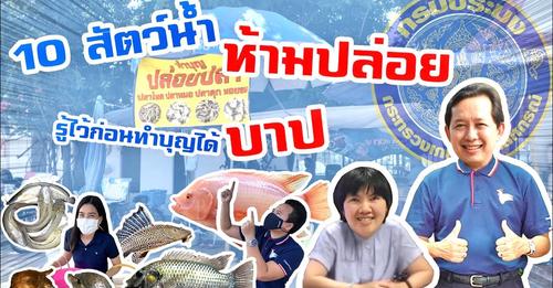 กรมประมง แนะ 
