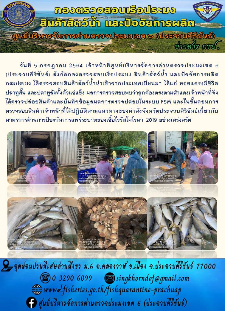 สินค้าสัตว์น้ำนำเข้าจากประเทศเมียนมา..คลิก