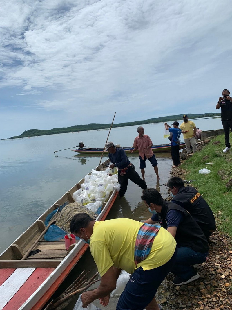 ปล่อยพันธุ์กุ้งก้ามกราม ลงสู่ทะเลสาบสงขลา อำเภอปากพะยูน จังหวัดพัทลุง..คลิก