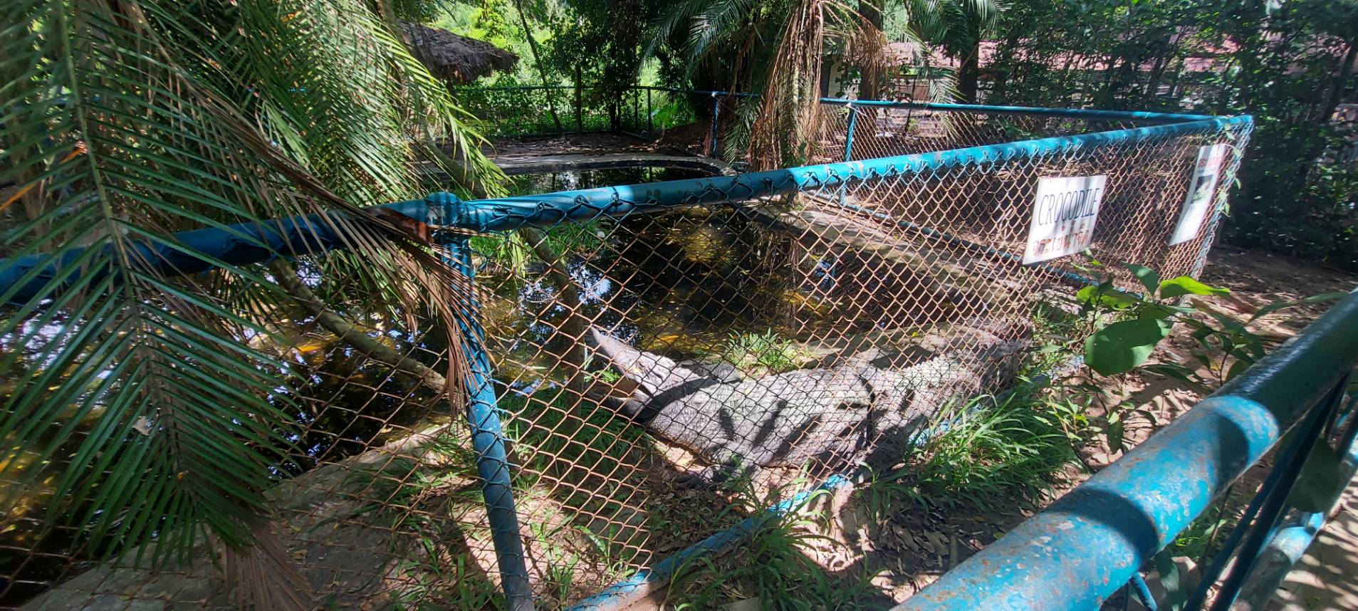 ประมงอำเภอตระการพืชผล ลงพื้นที่ตรวจสอบความเรียบร้อยของสถานที่และความเหมาะสมในการมีไว้ครอบครองซึ่งสัตว์ป่าที่ได้จากการเพาะพันธุ์(จระเข้น้ำจืด) อ.ตระการพืชผล จ.อุบลราชธานี..คลิก