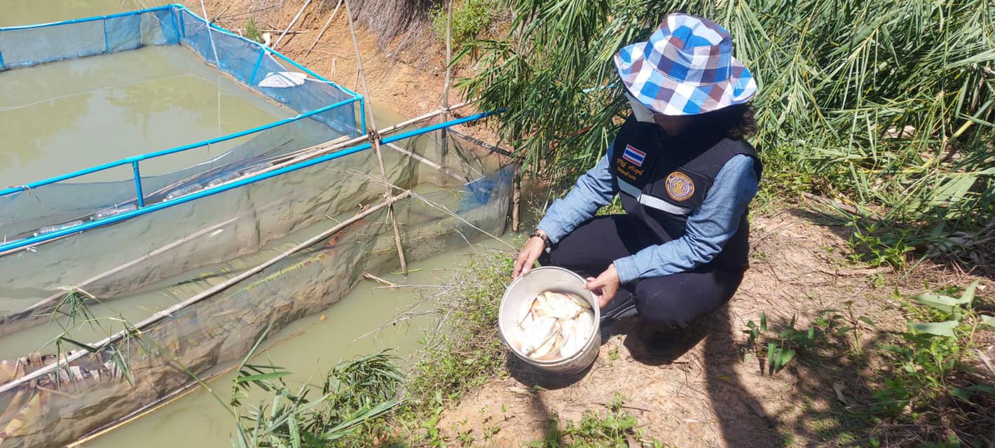 ประมงอำเภอเมืองยโสธร อบรมเชิงปฏิบัติการเพื่อส่งเสริมและพัฒนาอาชีพด้านการประมงแก่เกษตรกร..คลิก