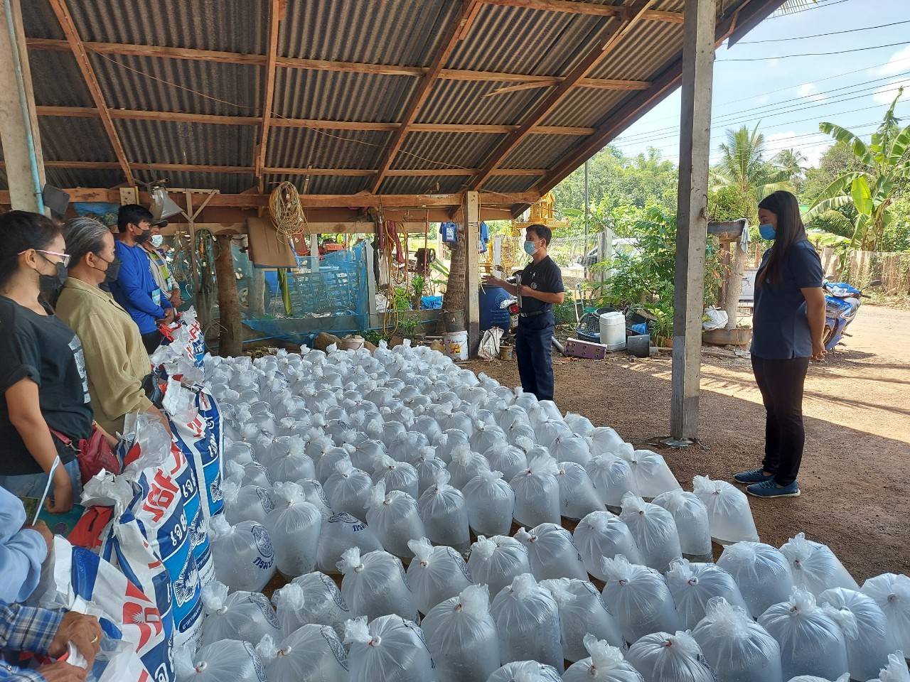 สำนักงานประมงจังหวัดศรีสะเกษ ร่วมกับศูนย์วิจัยและพัฒนาการเพาะเลี้ยงสัตว์น้ำจืด..คลิก