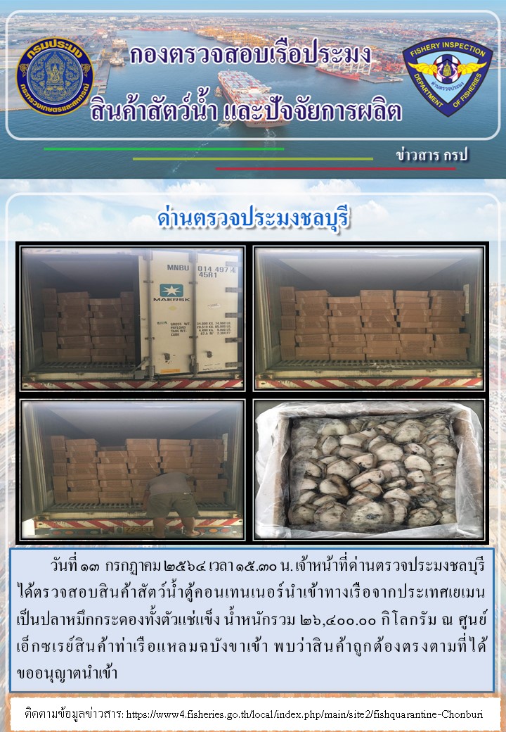 การปฏิบัติงานของเจ้าหน้าที่ด่านตรวจประมงชลบุรีประจำวันที่ 13 กรกฏาคม 2564..คลิก