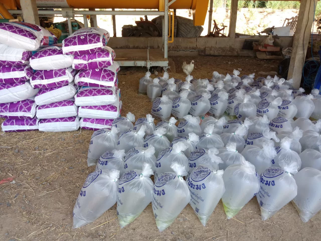 โครงการเกษตรทฤษฎีใหม่..คลิก