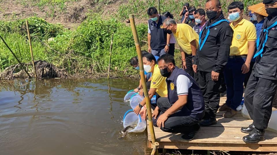 กิจกรรมปล่อยพันธุ์สัตว์น้ำ? ภายใต้โครงการเสริมสร้างการมีส่วนร่วมของชุมชนประมง? และกิจกรรมบริหารจัดการแหล่งประมงเชิงนิเวศ? (EAFM) ชุมชนแม่น้ำโขง? ประจำปีงบประมาณ? 2564..คลิก