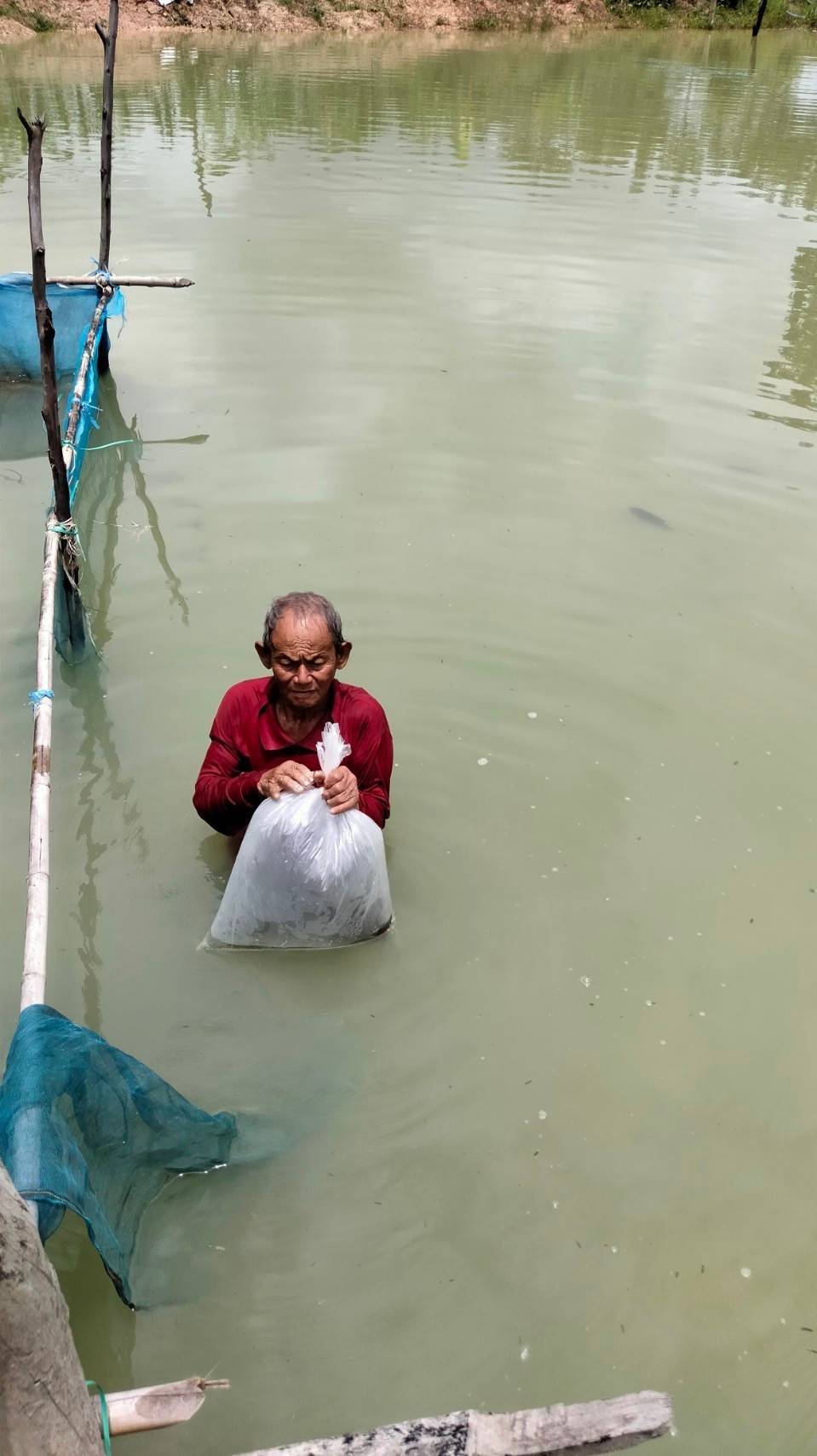โครงการเกษตรกรรมยั่งยืน กิจกรรมส่งเสริมเกษตรทฤษฎีใหม่ มอบปัจจัยการผลิตแก่เกษตรกรที่เข้าร่วมโครงการฯ ได้แก่ ลูกพันธุ์ปลากินพืชอาหารเม็ดสำเร็จรูปสำหรับปลากินพืชณ ที่ว่าการอำเภอวารินชำราบ จังหวัดอุบลราชธานี..คลิก