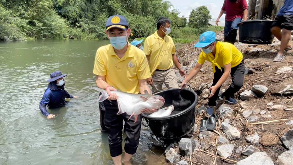 ดร.วิชาญ อิงศรีสว่าง รองอธิบดีกรมประมง เป็นประธานปฏิบัติงานการขนย้ายปลาเทโพพระราชทานเพื่อขยายพันธุ์และปล่อยคืนสู่แหล่งน้ำธรรมชาติ ครั้งที่ 2..คลิก