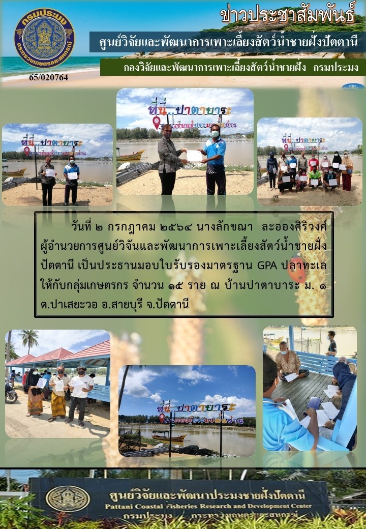 มอบใบรับรองมาตรฐานฟาร์มGAPปลาทะเล ให้แก่กลุ่มเกษตรกรผู้เลี้ยงปลากะพงขาวบ้านปาตาบาระ อ.สายบุรี จ.ปััตตานี..คลิก