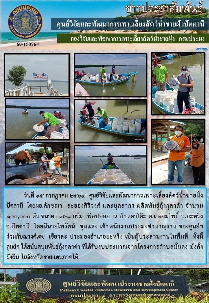 กิจกรรมปล่อยพันธุ์กุ้งกุลาดำจำนวน 100,000 ตัว บริเวณบ้านดาโต๊ะ อ.ยะหริ่ง จ.ปัตตานี..คลิก