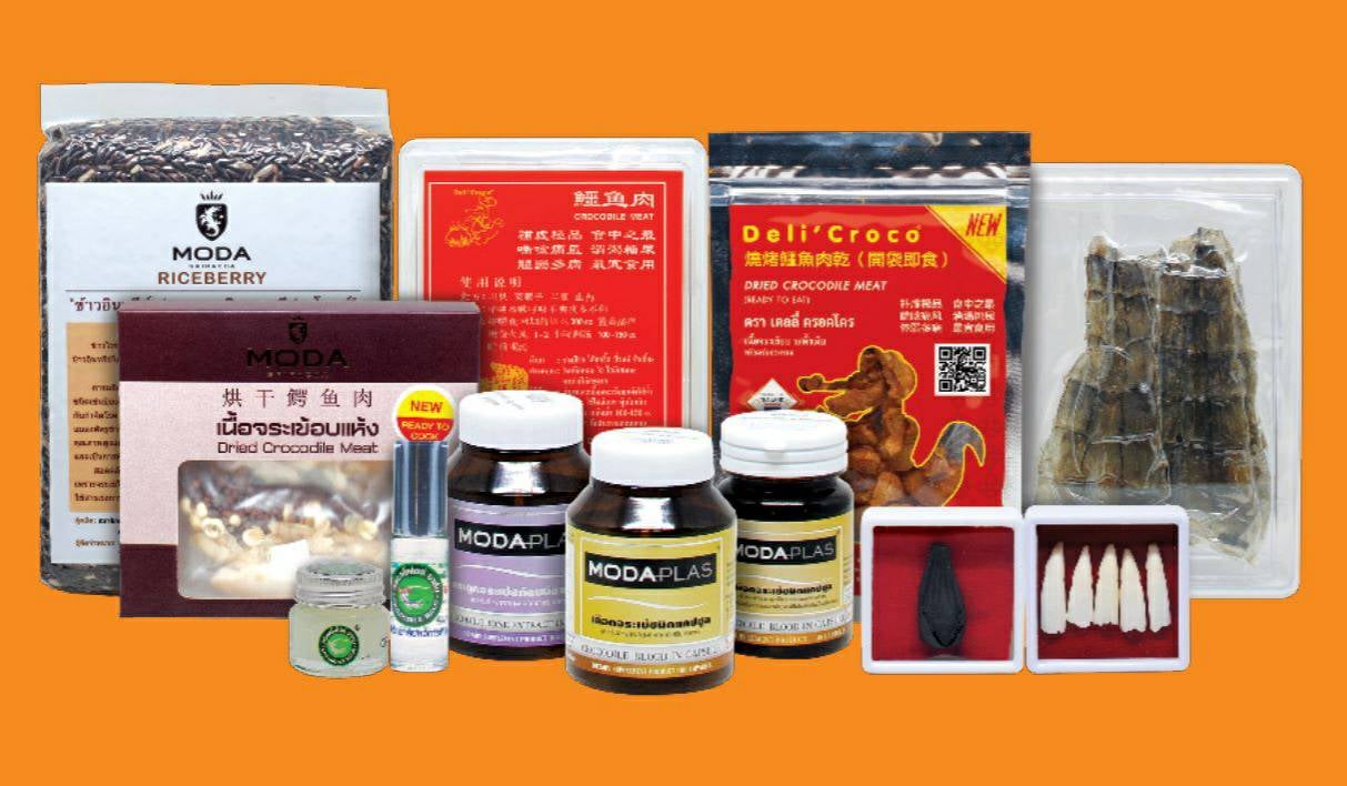 เร่งเดินหน้าโครงการสินเชื่อเพื่อเสริมสภาพคล่องเกษตรกรผู้เพาะเลี้ยงจระเข้..คลิก