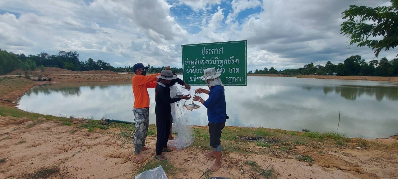ข่าวประชาสัมพันธ์ประจำวันที่ 8 กรกฎาคม 2564 ศูนย์วิจัยและพัฒนาการเพาะเลี้ยงสัตว์น้ำจืดศรีสะเกษ ปักษ์แรก ฉบับที่ 83