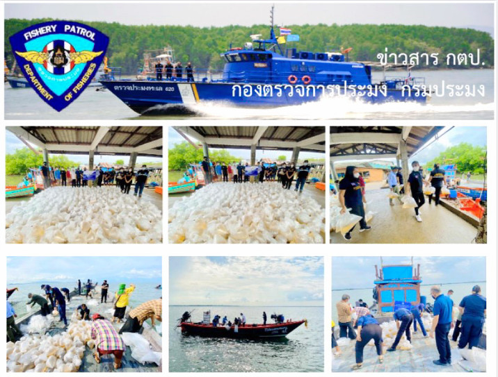 ร่วมปล่อยพันธุ์สัตว์น้ำกับองค์กรชุมชนประมงที่ได้รับคัดเลือก(กลุ่มประมงยั่งยืนบ้านแสมขาว)