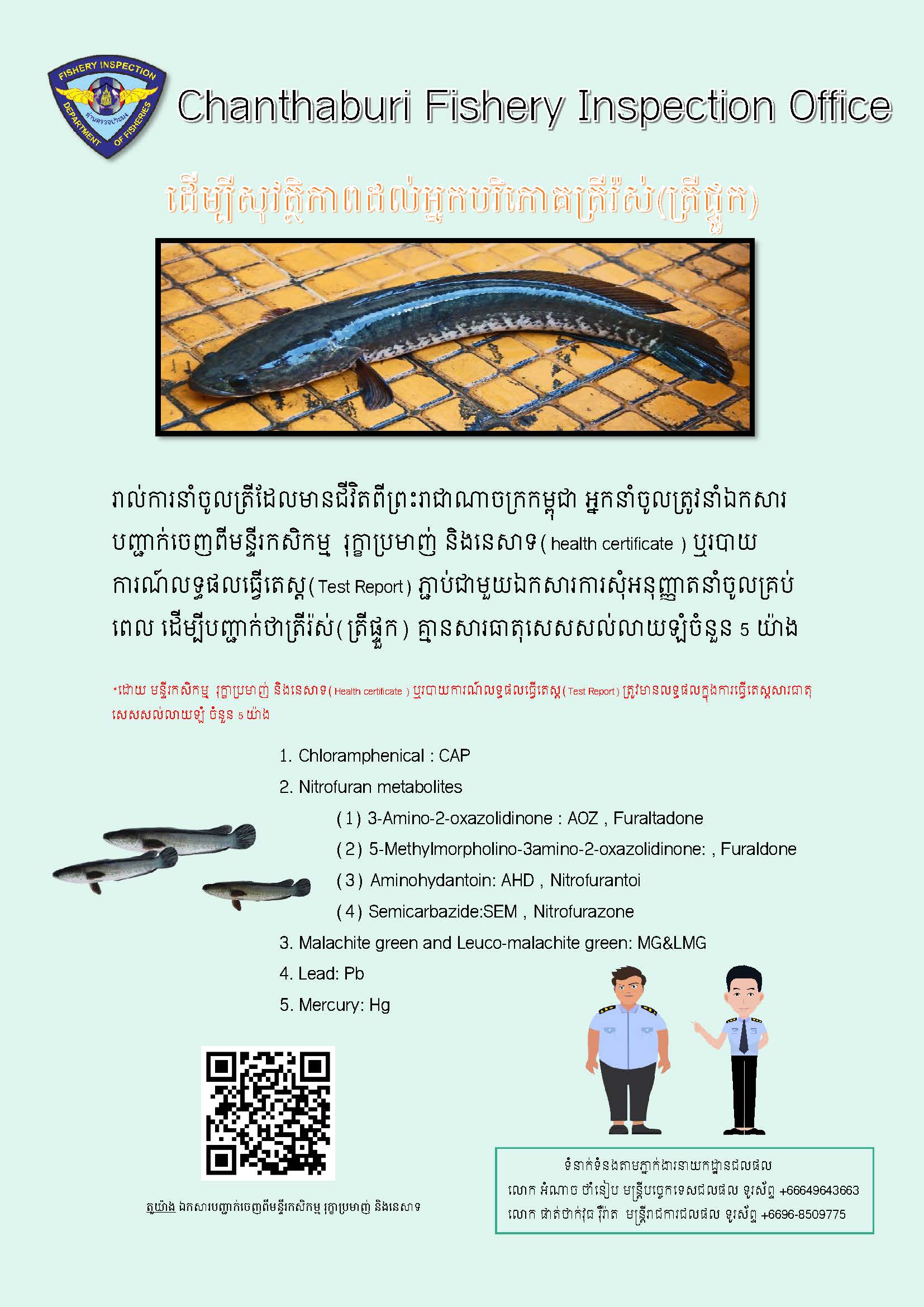 การควบคุมการนำเข้าปลาช่อนมีชีวิตจากราชอาณาจักรกัมพูชา..คลิก