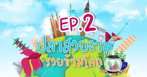 ปลาสวยงาม รวยข้ามโลก ใน EP. 2 เทรนด์สัตว์น้ำสวยงามและพรรณไม้น้ำรอบโลก