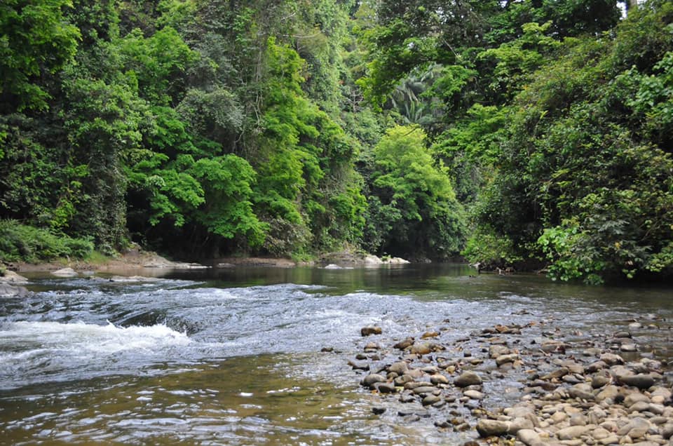 ประมงไทยใต้ร่มพระบารมี เทิดไท้พระบรมราชชนนีพันปีหลวง ตอน...ปลาพลวงชมพู..คลิก