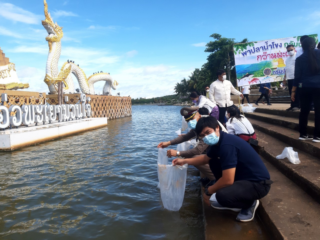 พิธีปล่อยพันธุ์สัตว์น้ำลง ณ กว๊านพะเยา โครงการประมงอาสาพาปลากลับบ้าน จากน้ำโขงกลับบ้าน กว๊านพะเยา