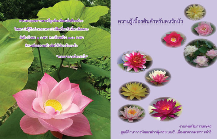 ความรู้เบื้องต้นสำหรับคนรักบัว