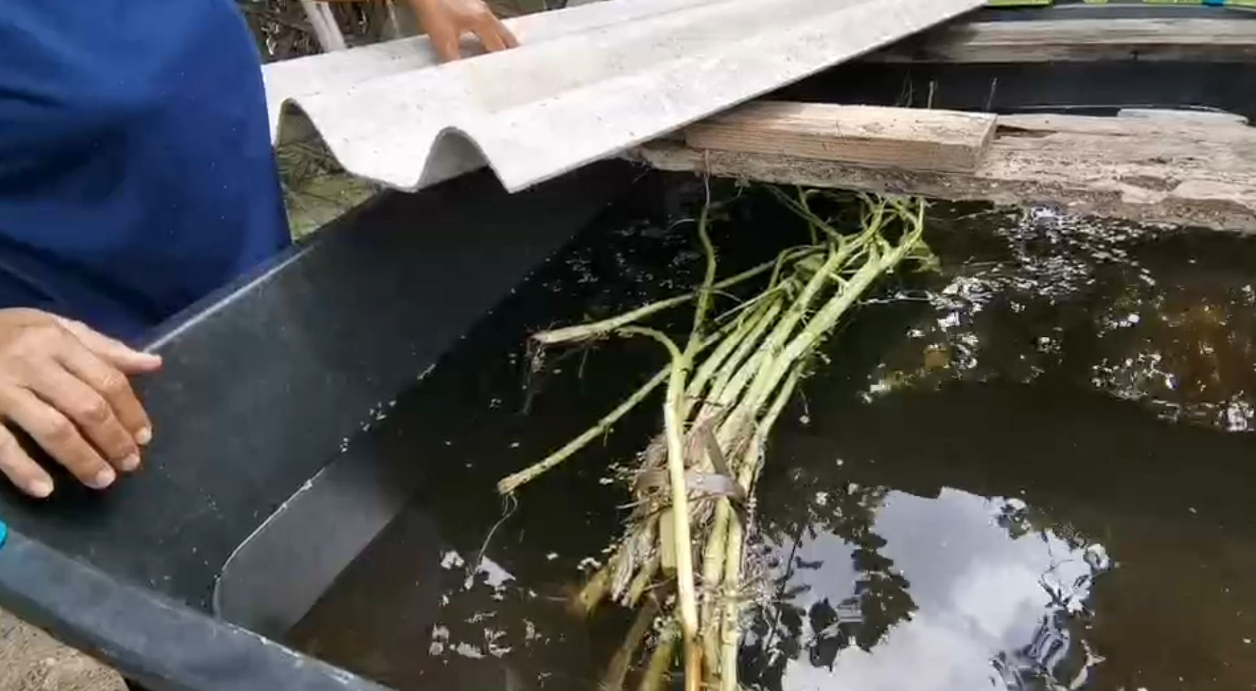 ตกงาน เงินหมด ประมงไม่รู้ แต่อยู่ที่นี้ต้องมีปลากิน