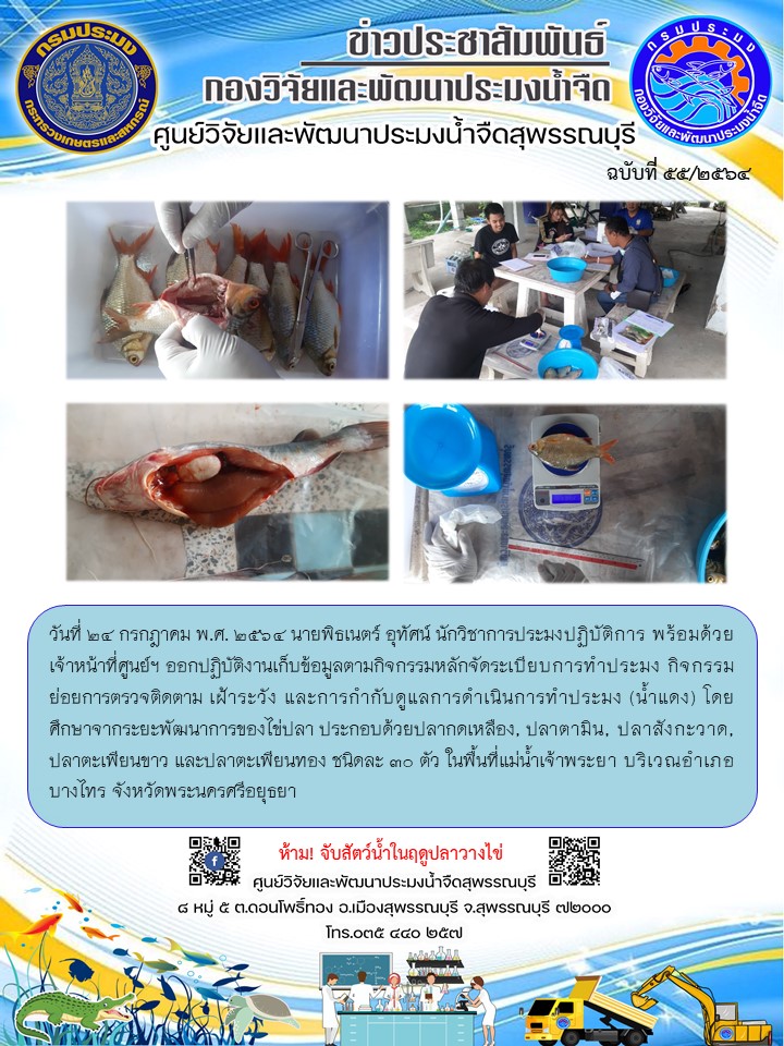 ข่าวประชาสัมพันธ์ฉบับที่55ประจำเดือนกรกฎาคม 2564..คลิก