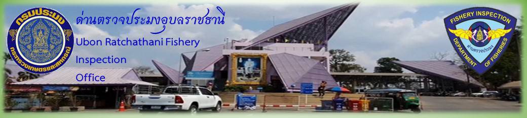 แบนเนอร์