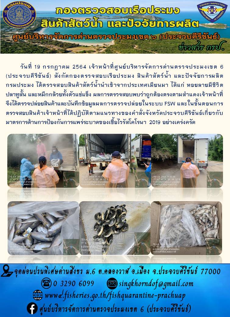 สินค้าสัตว์น้ำนำเข้าจากประเทศเมียนมา..คลิก