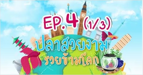 ปลาสวยงาม รวยข้ามโลก EP. 4 (1/3) เปิดโลกอาชีพ “การจัดตู้ไม้น้ำ งานอดิเรก สู่อาชีพพารวย”..คลิก