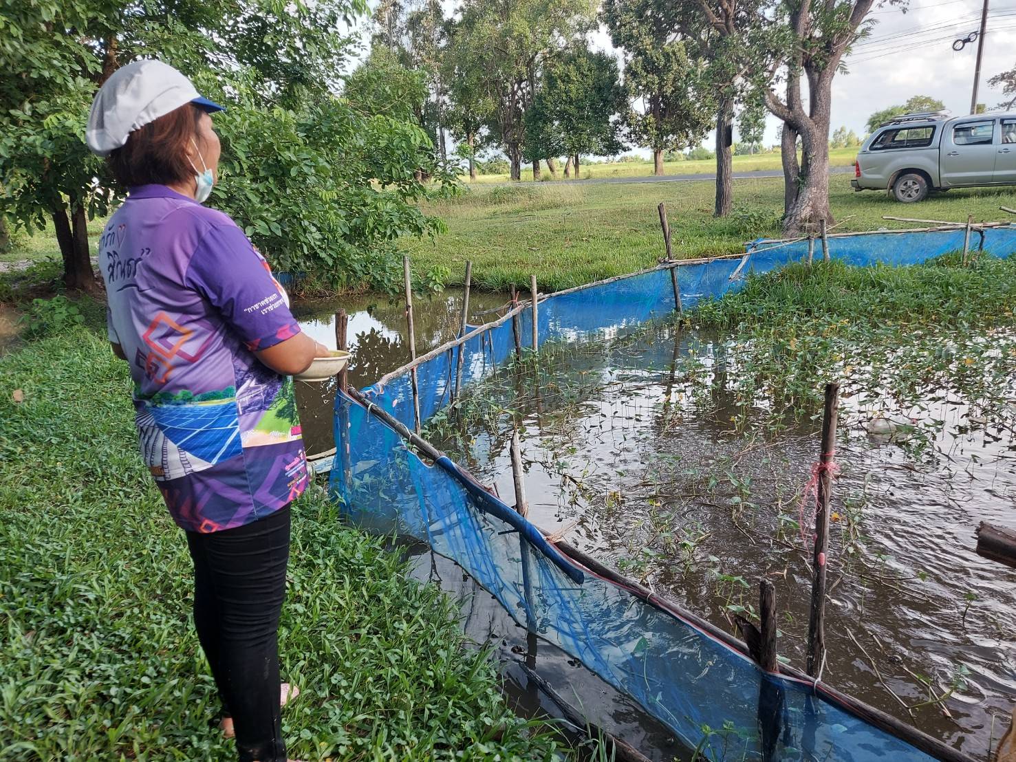 ประมงอำเภอสิรินธร ตรวจติดตามการดำเนินงานศพก.เครือข่ายด้านประมง ปี 2564 รายนางนาลอน ปราสาทศรี ซึ่งได้เลี้ยงปลาตะเพียนขาวในบ่อดิน เลี้ยงกบ เลี้ยงหอย และเลี้ยงปลาตะเพียนขาวในบ่อดิน..คลิก